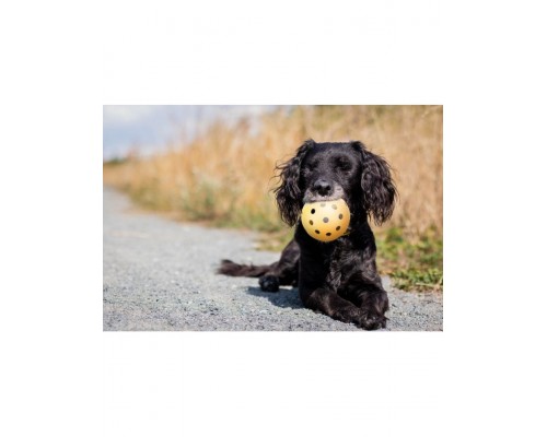 Мячик с дырочками и колокольчиком для слабовидящих и слепых собак