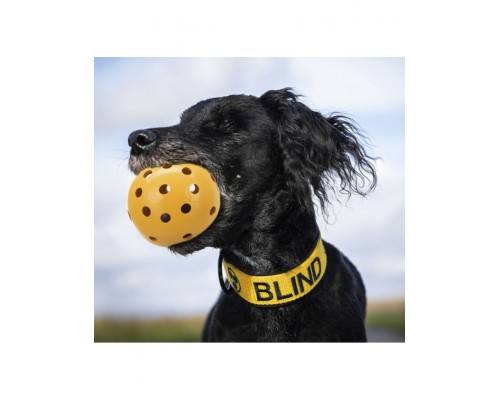 Мячик с дырочками и колокольчиком для слабовидящих и слепых собак