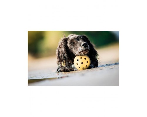 Мячик с дырочками и колокольчиком для слабовидящих и слепых собак