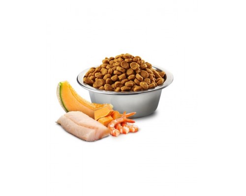 N&D OCEAN Kitten Pumpkin, Codfish, Shrimp & Melon беззерновой для котят, кормящих и беременных кошек треска, креветка, тыква и дыня