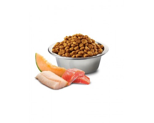 N&D OCEAN беззерновой для собак мелких пород лосось, треска, дыня