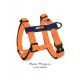 Шлейка Joyser Walk Base Step-in Harness оранжевая
