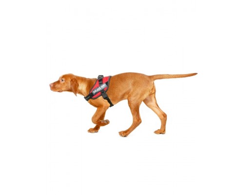 Шлейка для собак IDC-Powerharness красный
