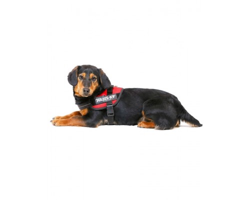 Шлейка для собак IDC-Powerharness красный