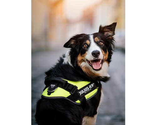 Шлейка для собак IDC-Powerharness зеленый неон