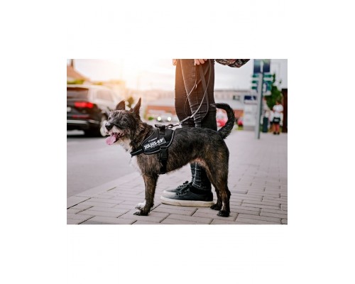 Шлейка для собак IDC-Powerharness джинса-зеленая неон