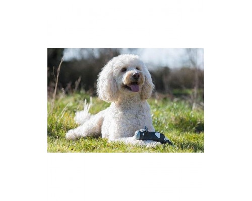 Игрушка для собак латекс "Коровка чёрно-белая"