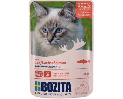 Salmon кусочки в желе с лососем