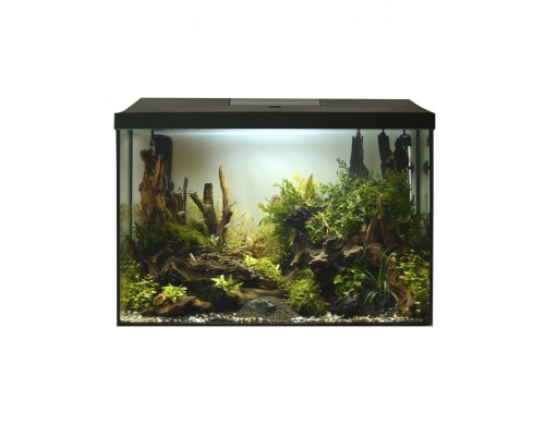 Аквариум LEDDY XL Day&Night 40 / 35л черный прямой