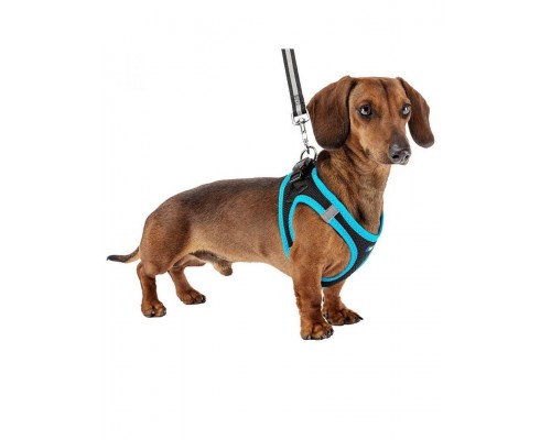 Шлейка KAORI P черно-голубая