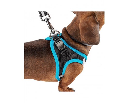 Шлейка KAORI P черно-голубая