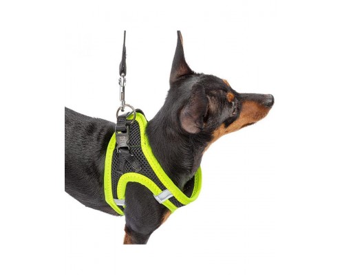 Шлейка KAORI P черно-желтая