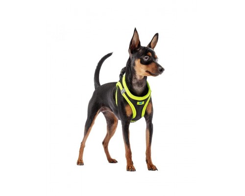 Шлейка KAORI P черно-желтая