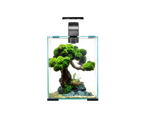 Аквариум Shrimp Set SMART LED Day&Night 10/10л черный