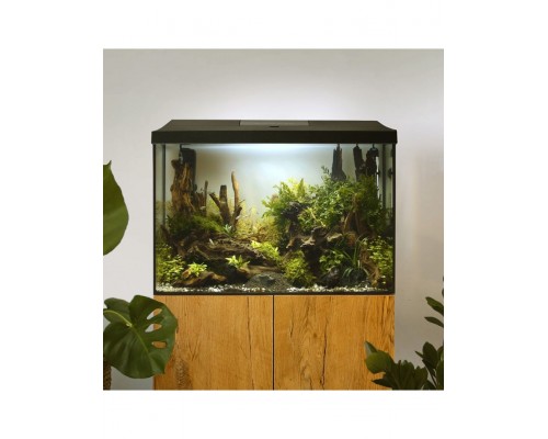 Аквариум LEDDY XL  DAY&NIGHT 60 черный / 72 л, прямой