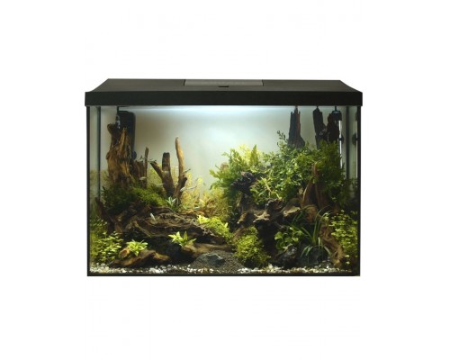 Аквариум LEDDY XL  DAY&NIGHT 60 черный / 72 л, прямой