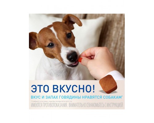 Фронтлайн НексгарД (M) - жевательная таблетка от клещей и блох для собак весом 4,1-10 кг