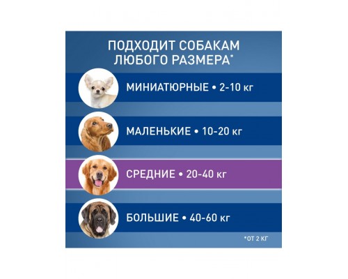 Фронтлайн Спот-он для собак 20-40 кг (L) - для защиты от клещей, блох в форме капель