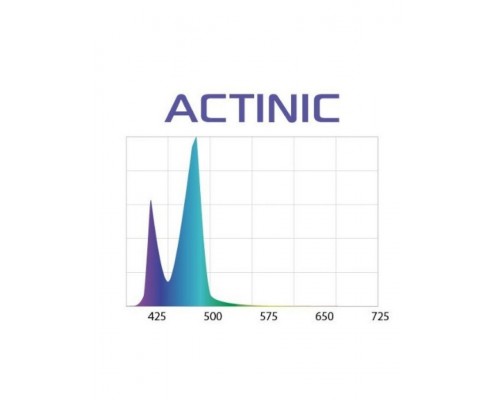 Светильник LEDDY SLIM ACTINIC черный (100-120см)