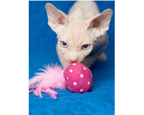 Мяч с перьями с кошачьей мятой