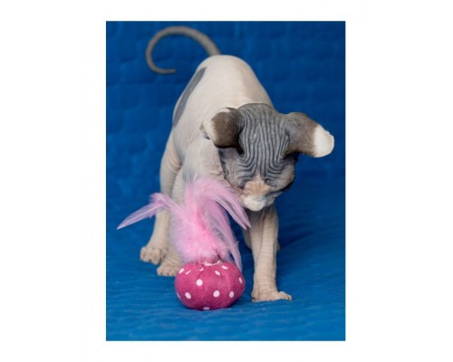 Мяч с перьями с кошачьей мятой