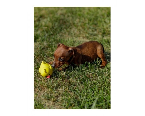 Латексная игрушка в форме утки