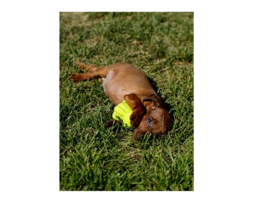 Латексная игрушка в форме водяного