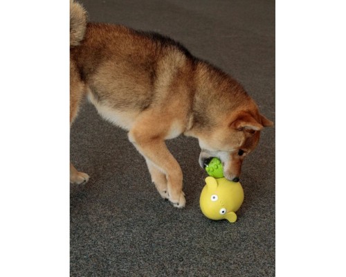 Смешной инопланетянин Мамеру. Серия "Латексные гиганты"