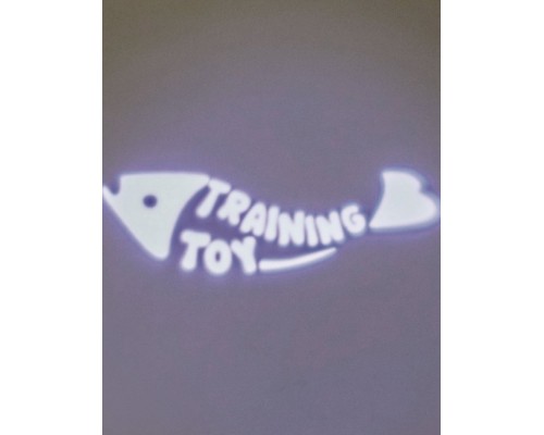 Указка светодиодная Catch the Light