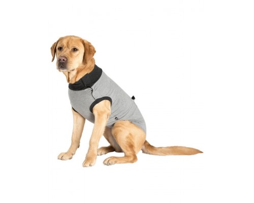 Защитная попона