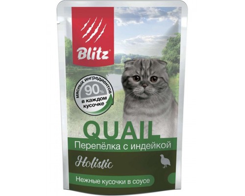 Holistic Quail & Turkey in Gravy Adult Cat All Breeds «Перепёлка с индейкой» нежные кусочки в соусе для взрослых кошек всех пород