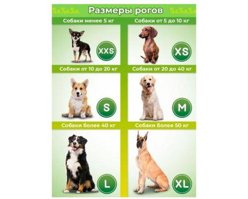 Рог северного оленя для собак