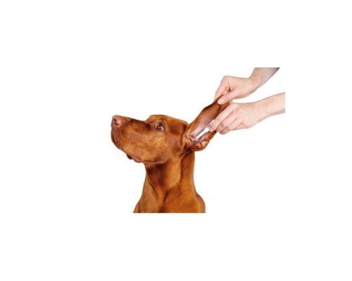 Нептра ® капли ушные для собак