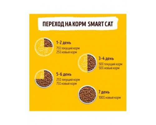 Smart Cat для котят, с цыпленком