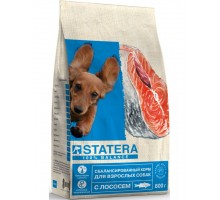 Корм для взрослых собак с лососем