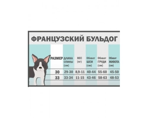 Комбинезон двухслойный «Двухцветка» на кобеля французского бульдога
