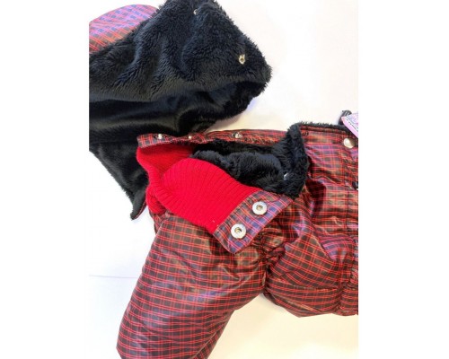 Комбинезон на суку китайской хохлатой "Полярник"