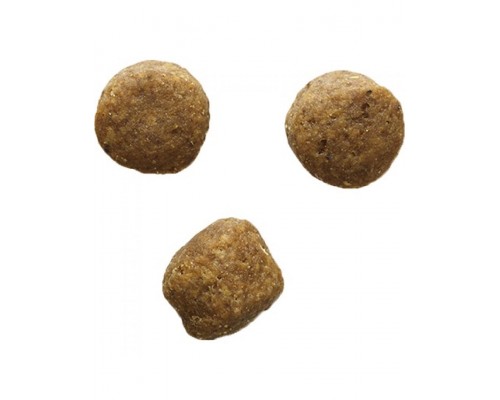 Bozita Grain Free Elk беззерновой корм для взрослых собак с нормальным уровнем активности с лосем