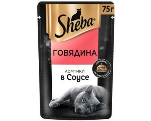 Ломтики в соусе с говядиной