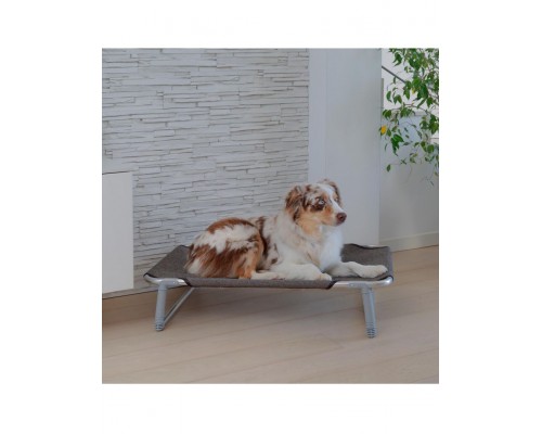 DREAM 60 раскладушка для собак