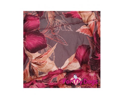 Куртка бордо