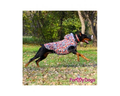 Куртка серо-красная, унисекс