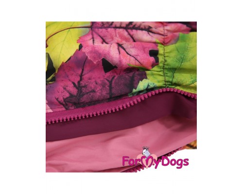 Дождевик для таксы Листья бордовый для девочек