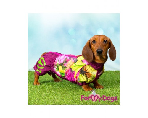 Дождевик для таксы Листья бордовый для девочек