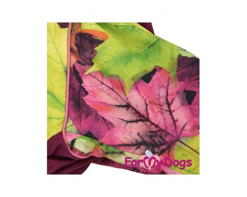 Дождевик Листья бордовый на девочек