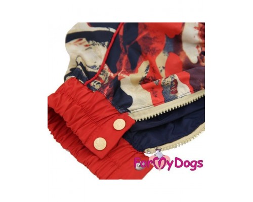 Дождевик для таксы черный-красный для мальчиков