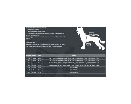 Дождевик для такс и вельш-корги Цветы коричневый для девочек