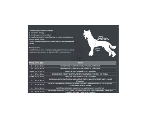 Дождевик для собак Цветы голубой для девочек