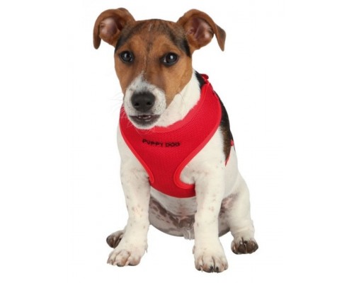 Шлейка для щенков с поводком  33-47см*10мм, 2м