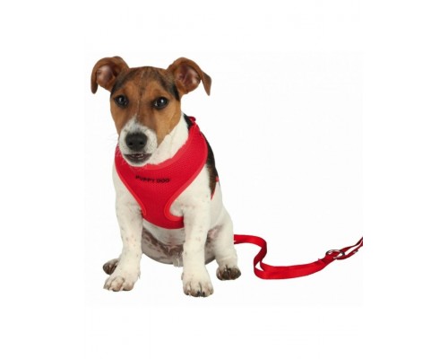 Шлейка для щенков с поводком  33-47см*10мм, 2м